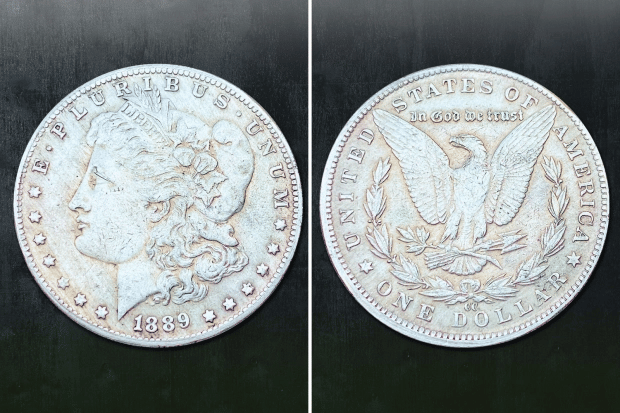 Different types of the 1889 Silver Dollar